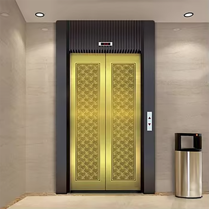 VTEP106 Elevadores Moderni VIATOR Elevator cum Energy-saving Features