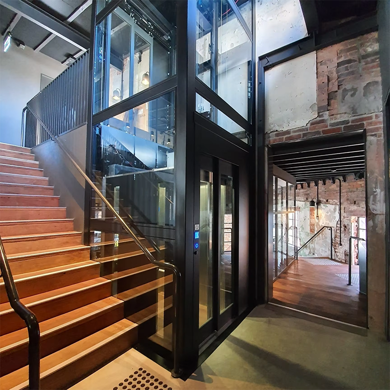 VTEP106 Elevadores Moderni VIATOR Elevator cum Energy-saving Features