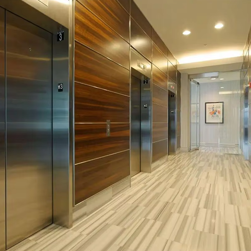 VTEP108 Elevadores Fast et lenis VIATOR Elevators pro Commercial Properties Quick Service