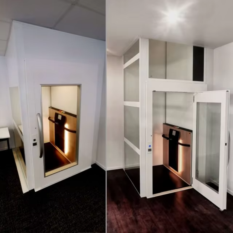 VTEV108 Ascensores Elevadores Tutus ac Reliable Villa Leva pro Familia Domus Installation