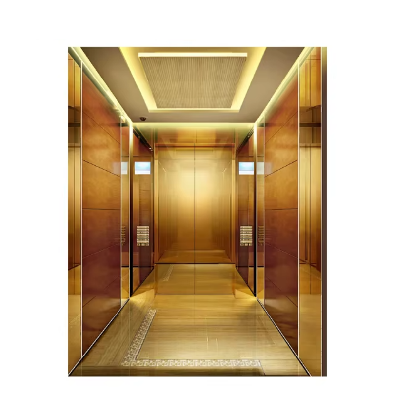 VTEP109 Elevadores User-Friendly VIATOR Elevator cum Intuitive Imperium Panel