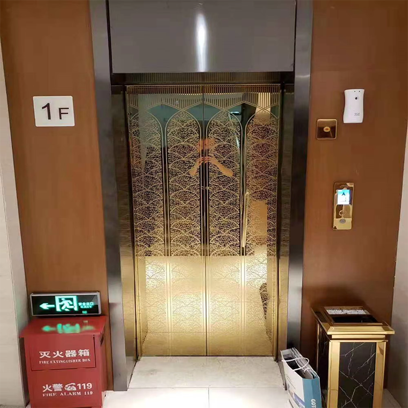 VTEO101 Ascensores Stylish Observation Elevator for Luxury Apartment and Office Buildings