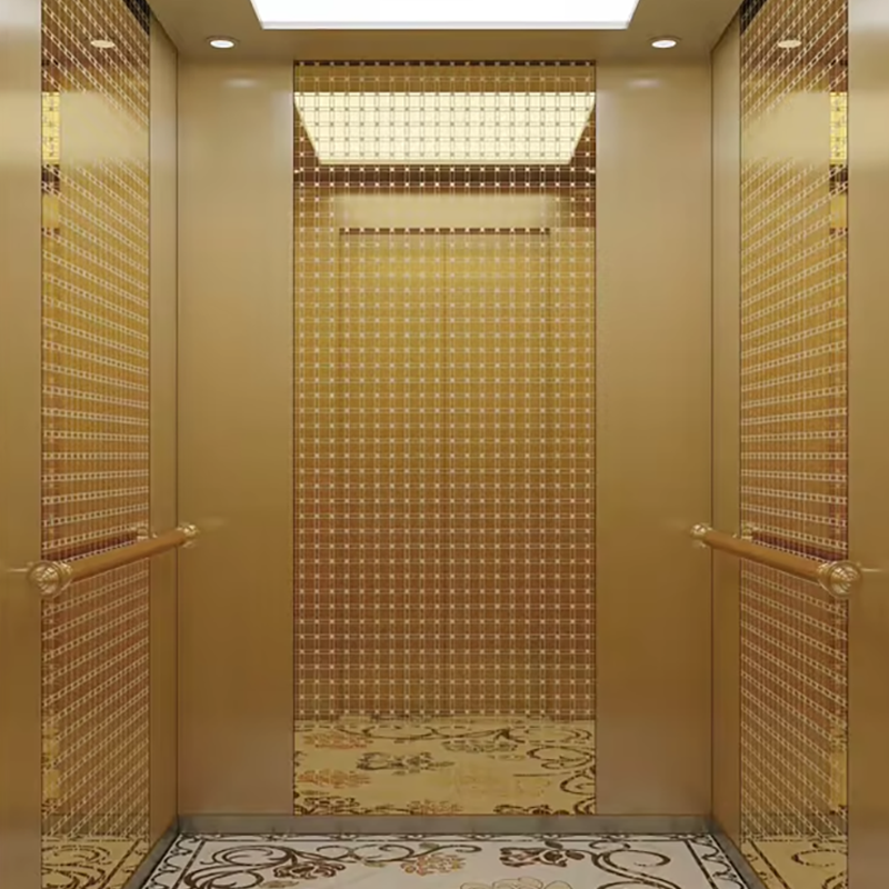 VTEO102 Ascensores High Quality Observation Elevator for ludi scaenical and VIATOR Aedificiorum