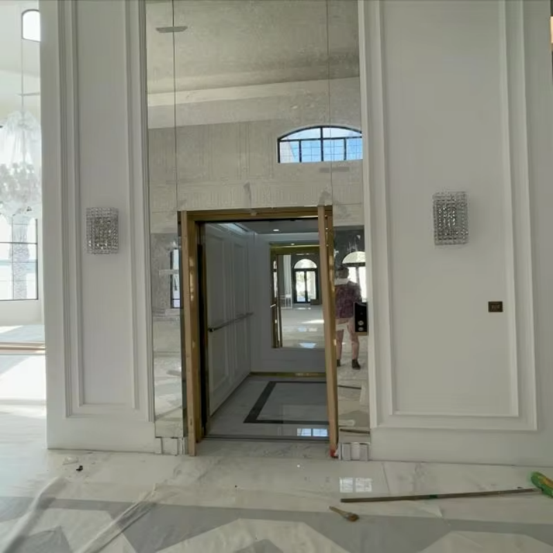 VTEP112 Elevadores High-Speed ​​VIATOR Elevator for Fast Vertical Motus