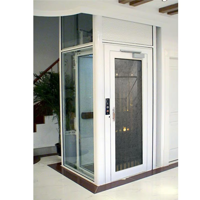 VTEV102 Ascensores Elevadores Energy Excepto Villa Elevator pro Residentiali Decoration