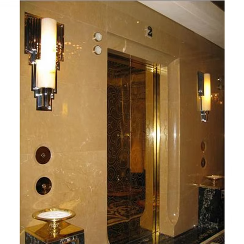 VTEV102 Ascensores Elevadores Energy Excepto Villa Elevator pro Residentiali Decoration