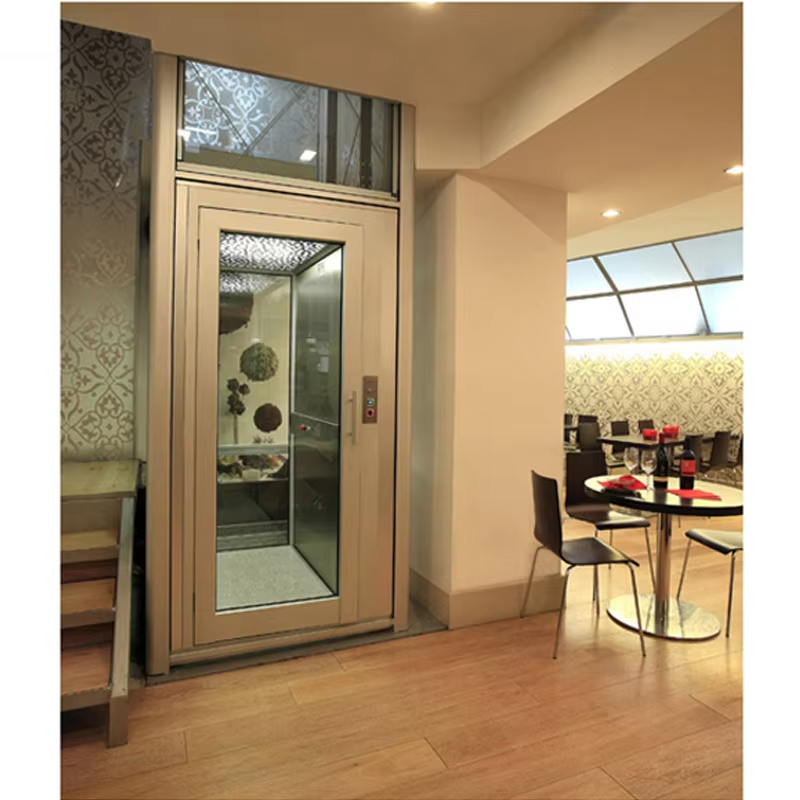 VTEV101 Ascensores Elevadores Beautiful Design Villa Leva for Modern Decoration Style