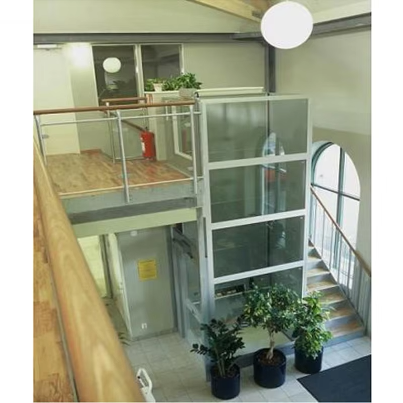 VTEV103 Ascensores Elevadores Smart Control Villa Leva for Comfortable Home Transport