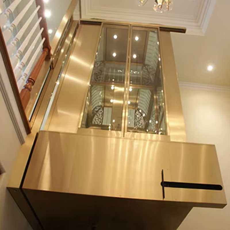 VTEV104 Ascensores Elevadores Luxuria Steel Villa Elevator for Family Use