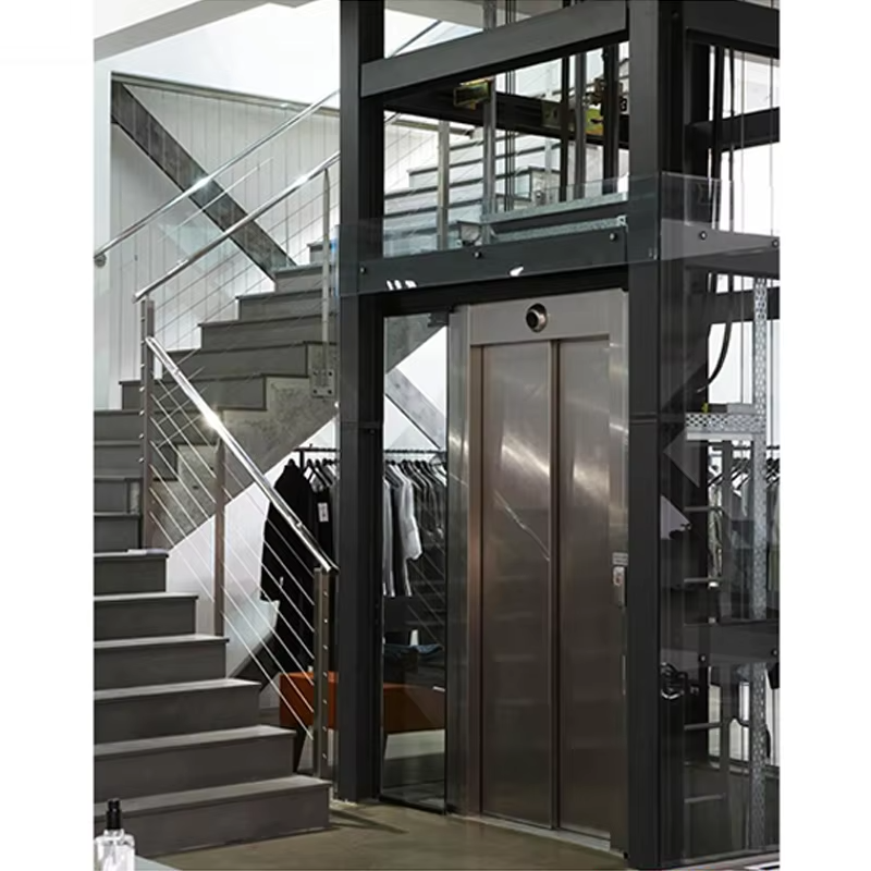 VTEV104 Ascensores Elevadores Luxuria Steel Villa Elevator for Family Use
