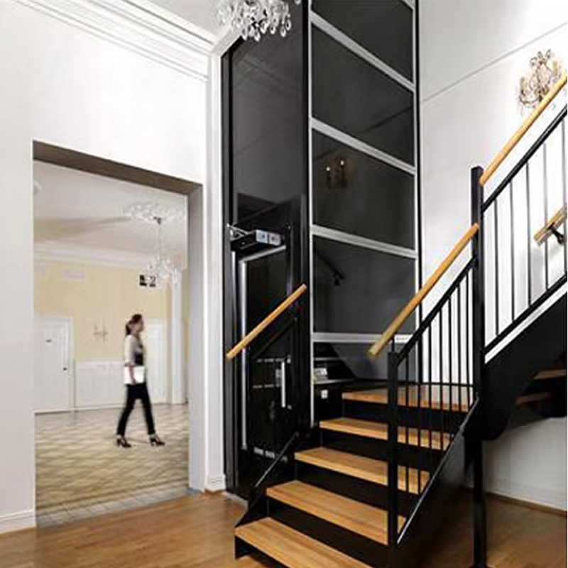 VTEV104 Ascensores Elevadores Luxuria Steel Villa Elevator for Family Use