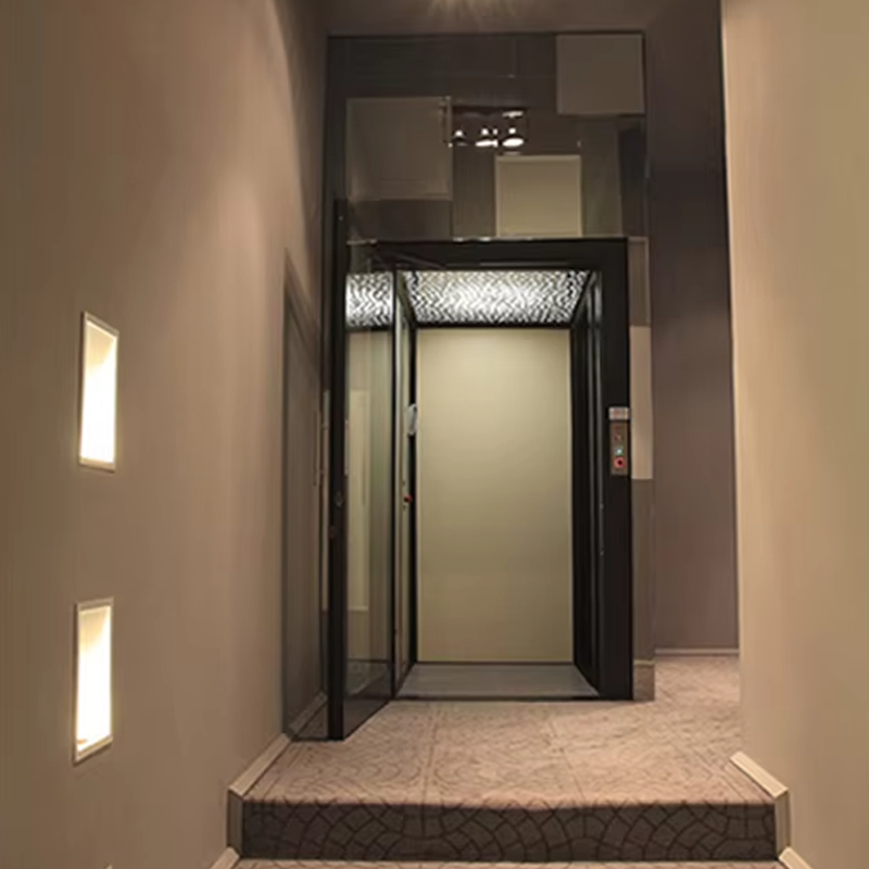 VTEV104 Ascensores Elevadores Luxuria Steel Villa Elevator for Family Use