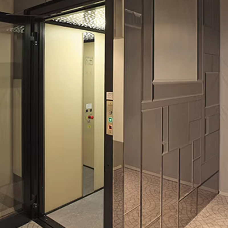 VTEV105 Ascensores Elevadores customized Cabin Villa Elevator for Interior Decoration