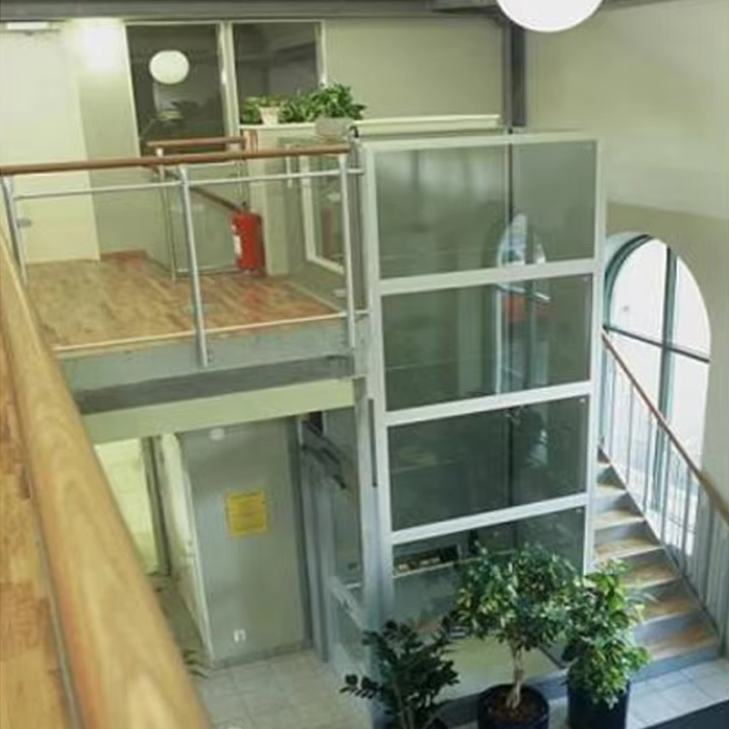 VTEV105 Ascensores Elevadores customized Cabin Villa Elevator for Interior Decoration