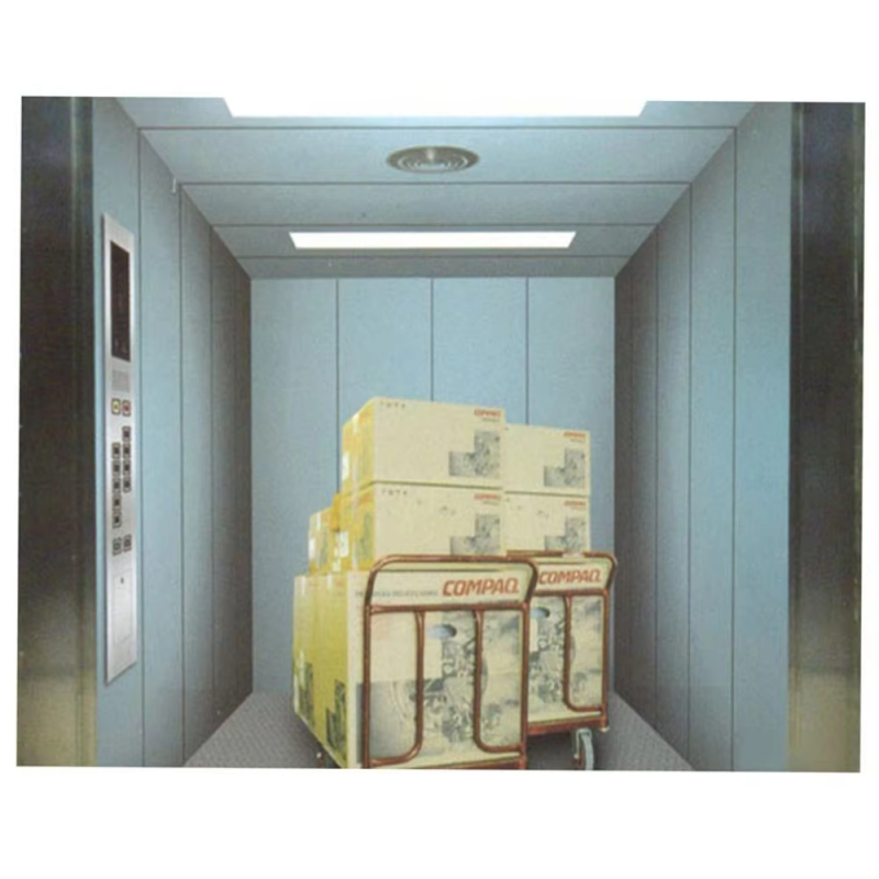VTEF101 Ascensores Industrial ONERARIUS Elevator cum Fortis Loading Capacity