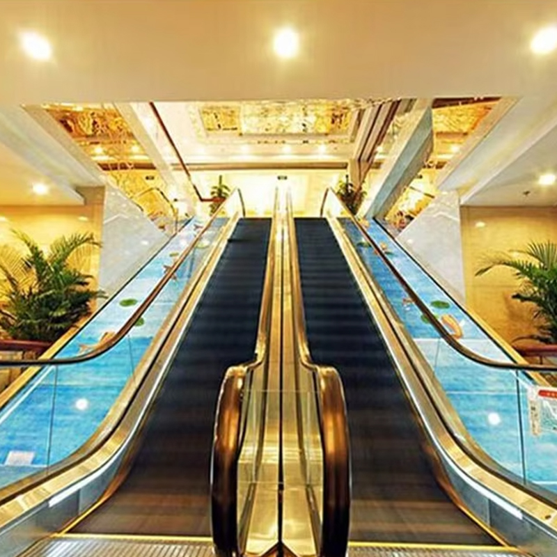 VTES102 0.5m_s Volo Elevator Outdoor Escalator et movens ambulat pro Factory Price