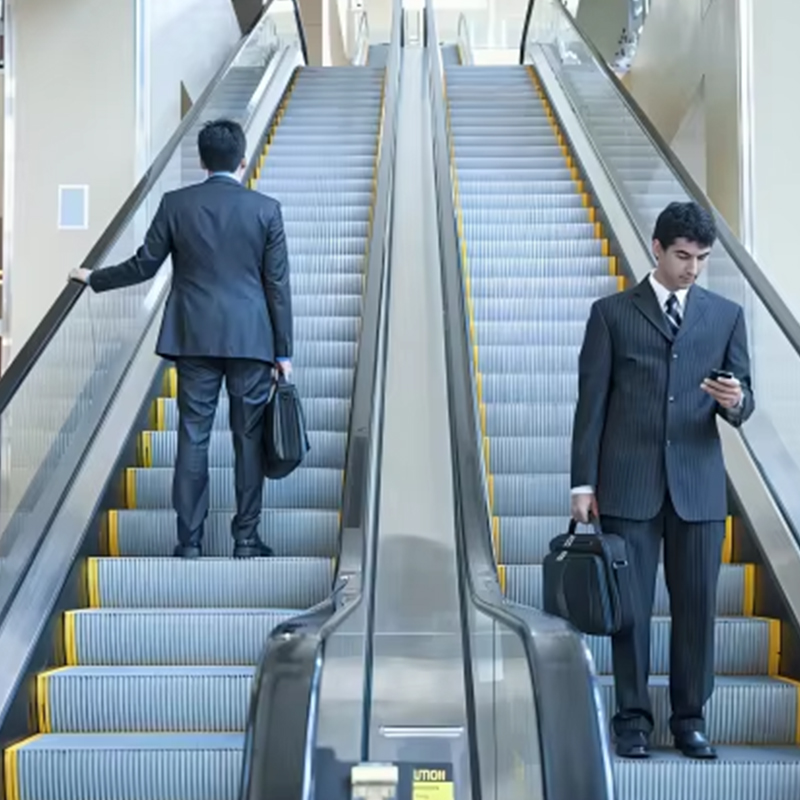 VTES102 0.5m_s Volo Elevator Outdoor Escalator et movens ambulat pro Factory Price