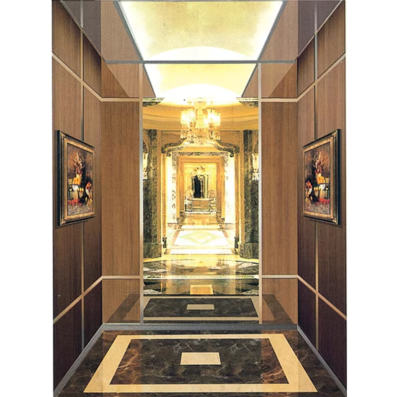 VTEP116 Ascensores Moderni VIATOR Elevator Systems High-Sursing Projects Seamless Operation