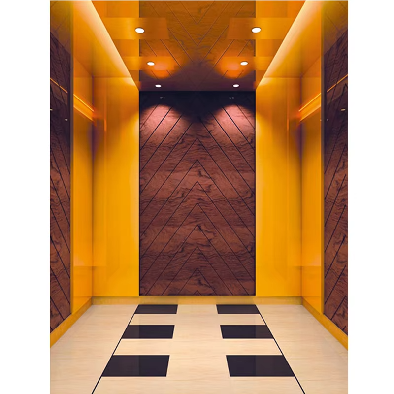 VTEP116 Ascensores Moderni VIATOR Elevator Systems High-Sursing Projects Seamless Operation