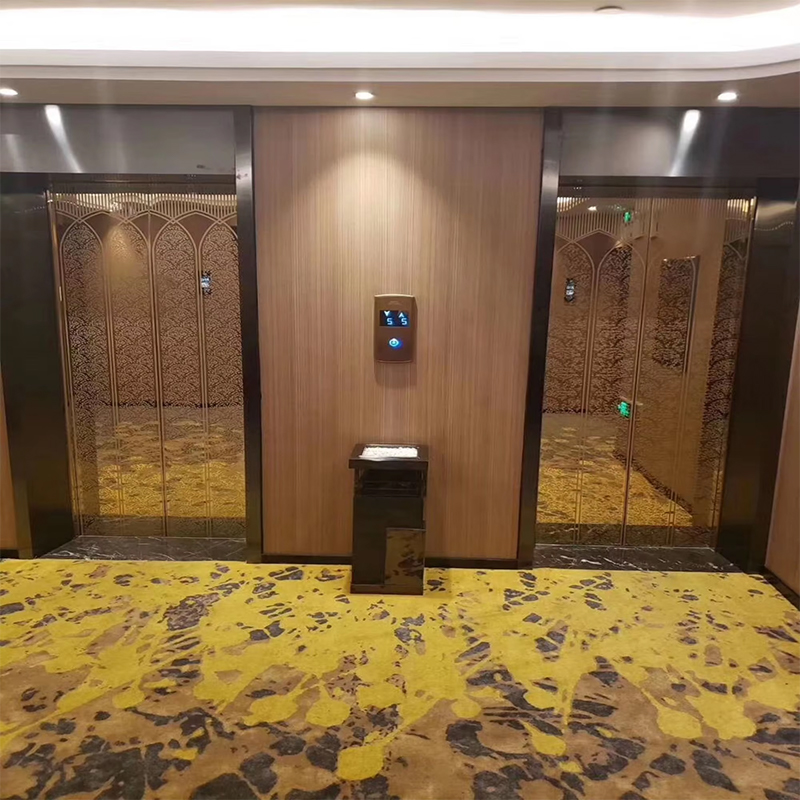 VTEP118 Elevadores Provectus VIATOR Elevators Gearless AC PVC Stainless Construction ISO9001 Certified Smart Features Improve