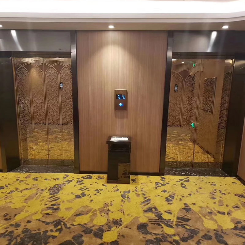 VTEP122 Elevadores Provectae et Spatii-Saving VIATOR Elevator pro High-Surgere Aedificia