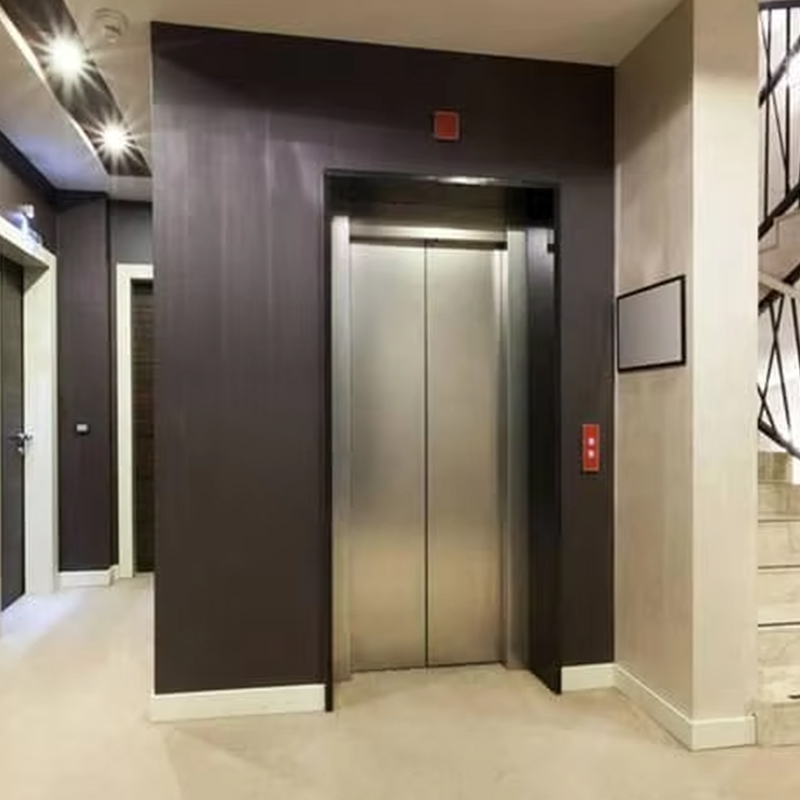 VTEP123 Luxuria Customized Gearless AC Drive Residential Passenger Elevator with Panoramic Design
