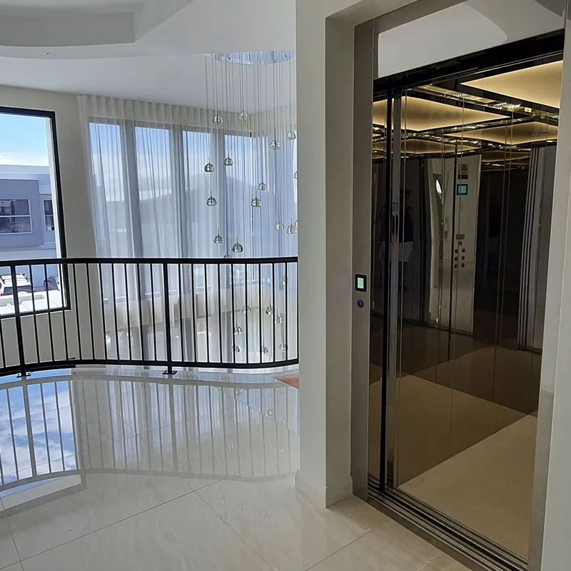 VTEP123 Luxuria Customized Gearless AC Drive Residential Passenger Elevator with Panoramic Design