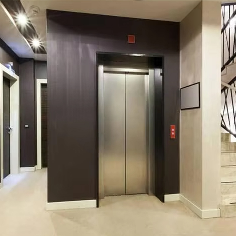 VTEP124 China Brand Modern VIATOR Elevator Manufacturer High euismod Leva Hotel Usus PVC Floor Steel AC Drive