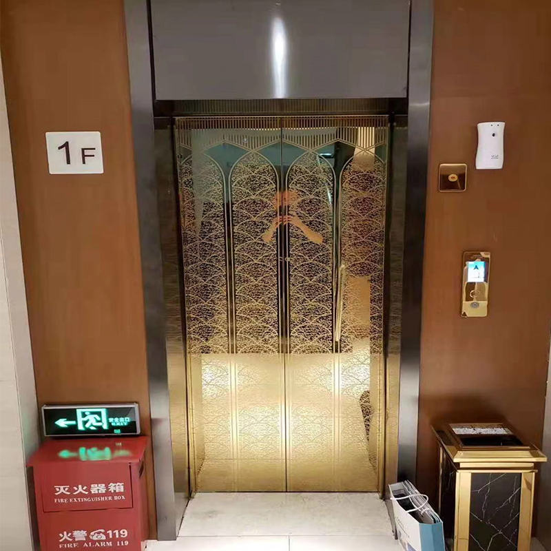 VTEP124 China Brand Modern VIATOR Elevator Manufacturer High euismod Leva Hotel Usus PVC Floor Steel AC Drive