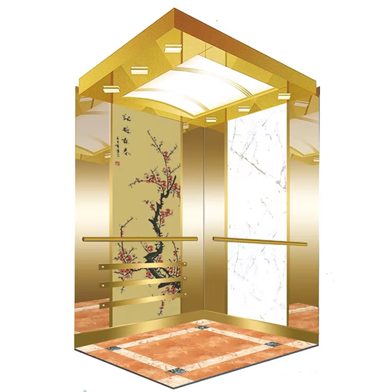 VTEP114 Ascensores Elevadores Customized VIATOR Elevators with Advanced Features Best Value for Money