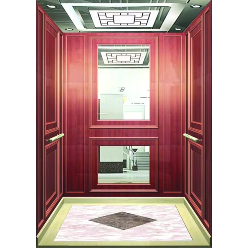 VTSP133 Luxuria Hotel Elevator Cabin with Premium Steel Contemporary Design Customized Color 1 Year Warranty