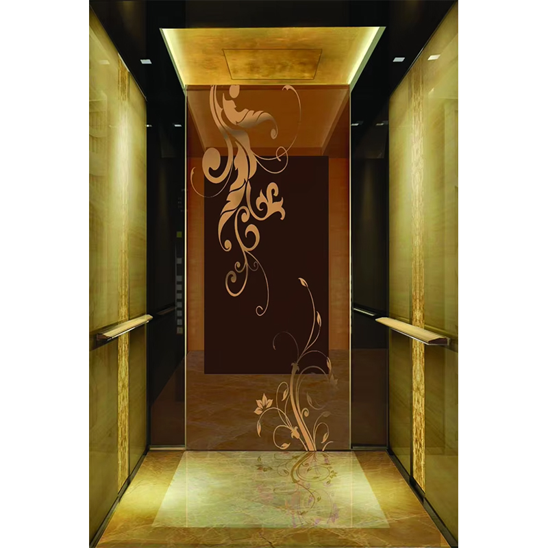 VTSP133 Luxuria Hotel Elevator Cabin with Premium Steel Contemporary Design Customized Color 1 Year Warranty