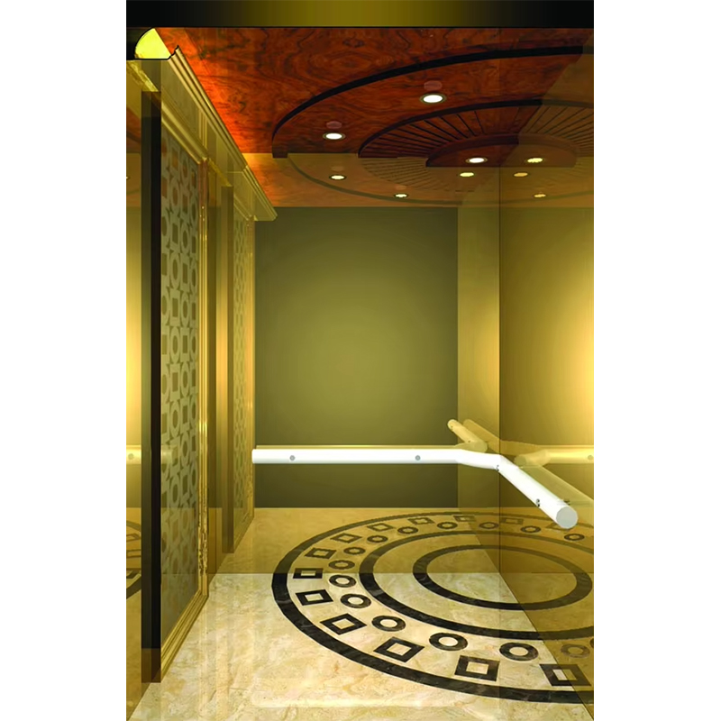 VTSP133 Luxuria Hotel Elevator Cabin with Premium Steel Contemporary Design Customized Color 1 Year Warranty