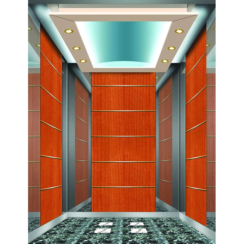 VTSP133 Luxuria Hotel Elevator Cabin with Premium Steel Contemporary Design Customized Color 1 Year Warranty