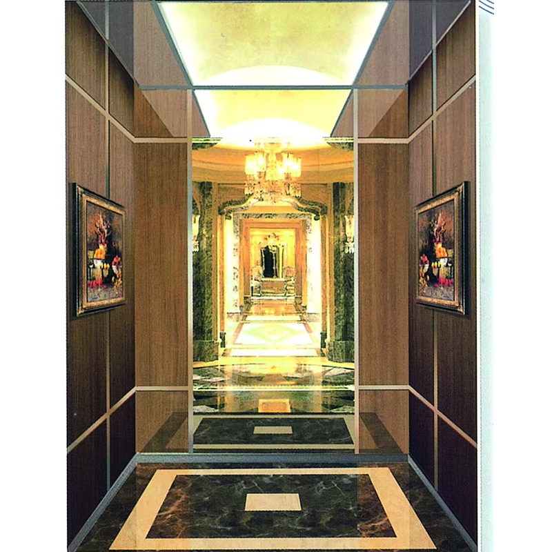 VTSP135 Elevator Partes & Accessories Commercial VIATOR Tolle Cameram cum Anti-Scratch Wall Panels