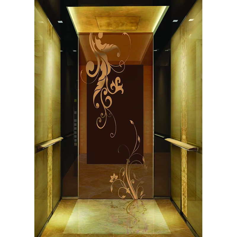 VTSP135 Elevator Partes & Accessories Commercial VIATOR Tolle Cameram cum Anti-Scratch Wall Panels