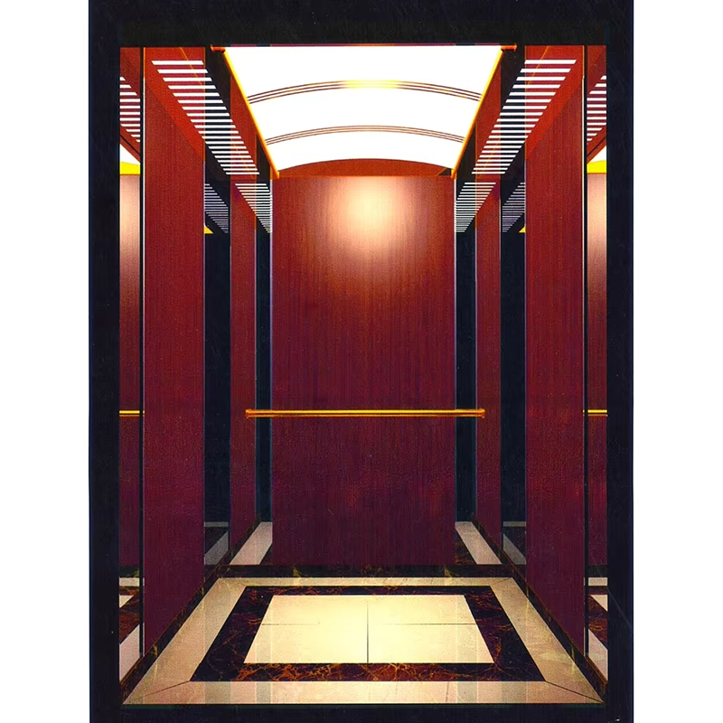 VTSP135 Elevator Partes & Accessories Commercial VIATOR Tolle Cameram cum Anti-Scratch Wall Panels