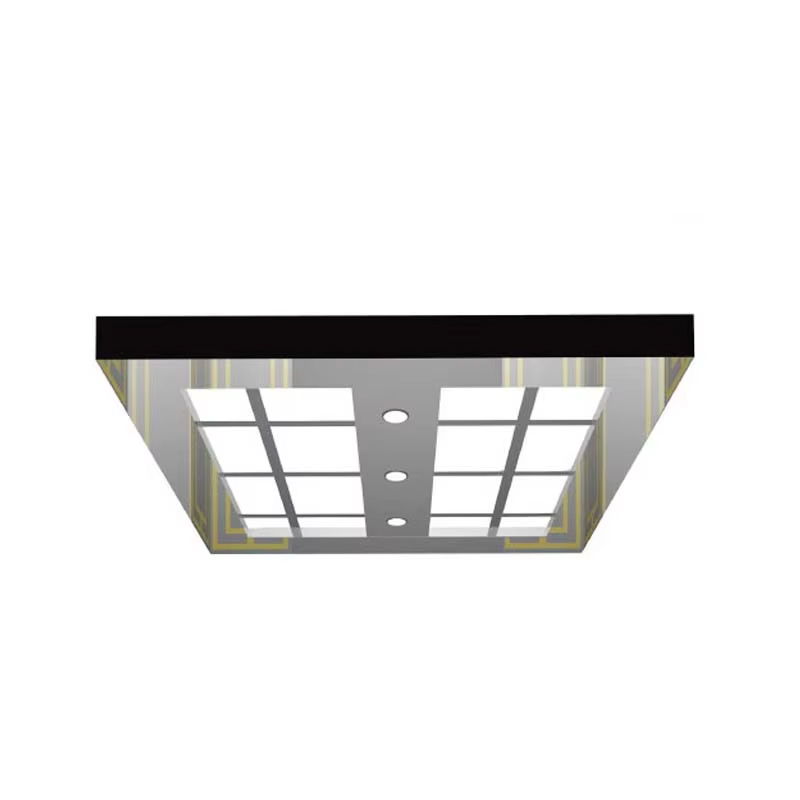 VTSP138 Elevator Modernisation Parts Customized Elevator Laquearia LED Lighting Speculum Speculum Steel Levate Ceiling