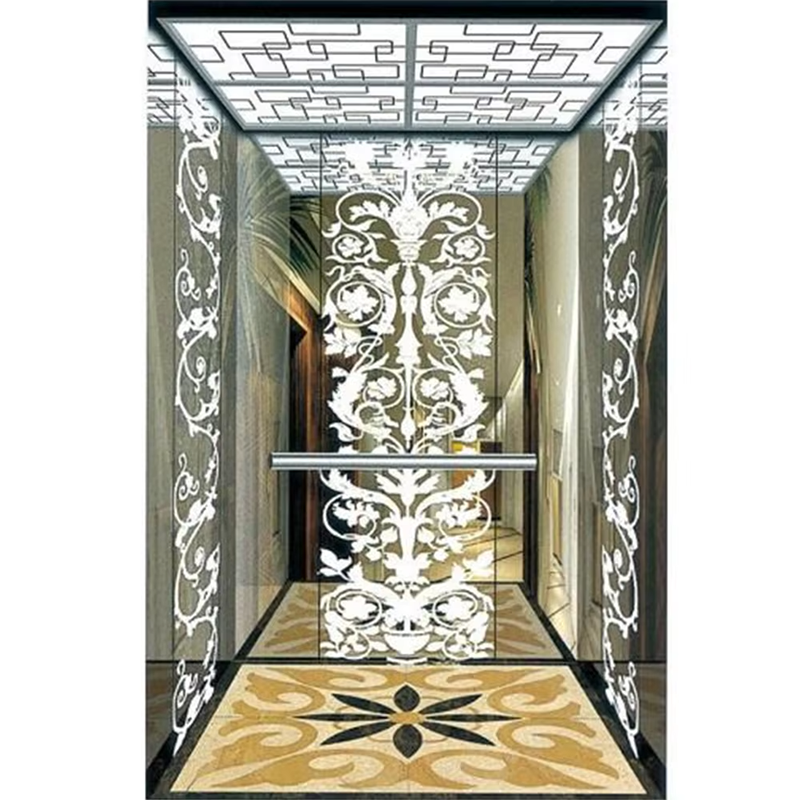 VTSP127 Elevator Partes & Accessories Durable Steel Leva Cameram cum Skirting et Handrail