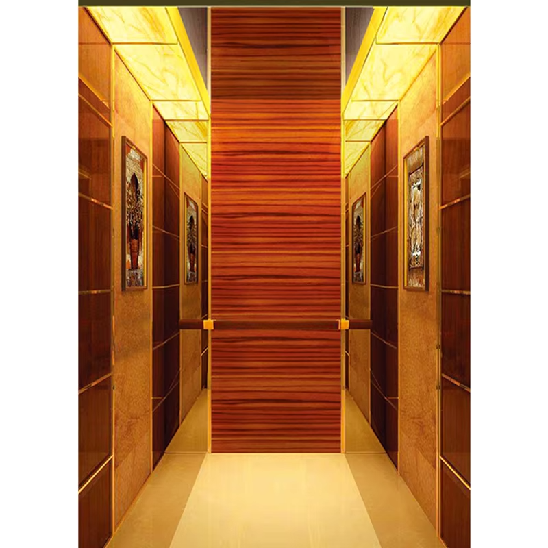 VTSP127 Elevator Partes & Accessories Durable Steel Leva Cameram cum Skirting et Handrail