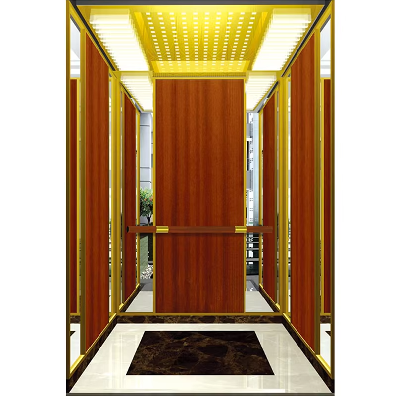 VTSP127 Elevator Partes & Accessories Durable Steel Leva Cameram cum Skirting et Handrail