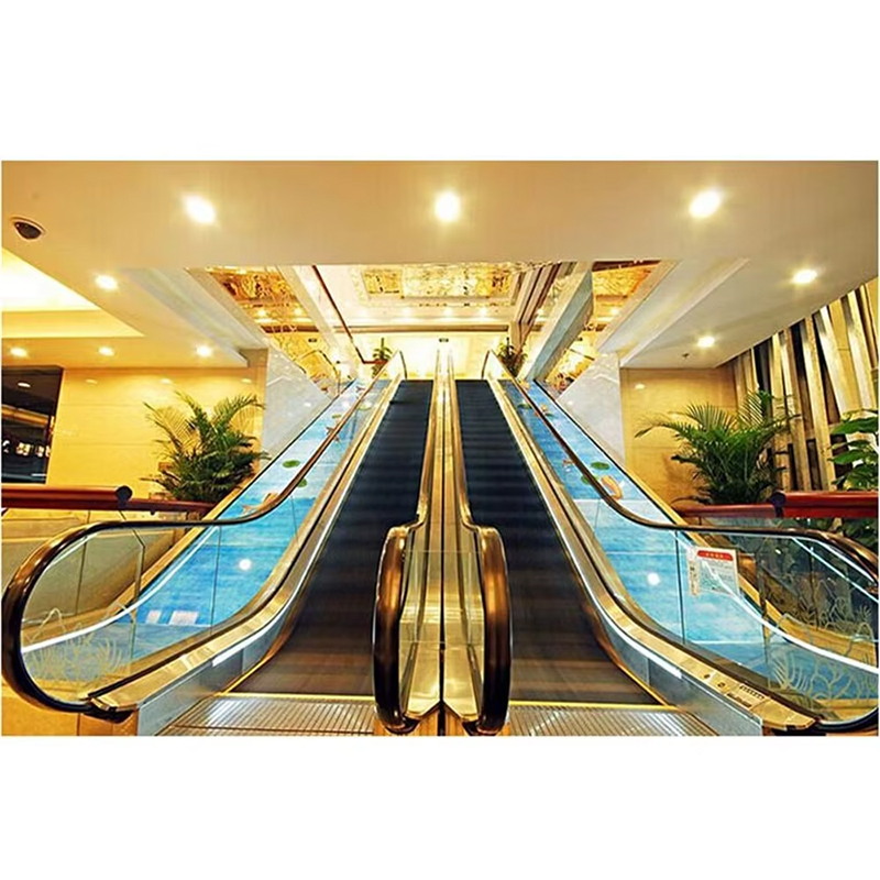 VTES106 Good Quality Competitive VIATOR Escalator Outdoor Escalator Price
